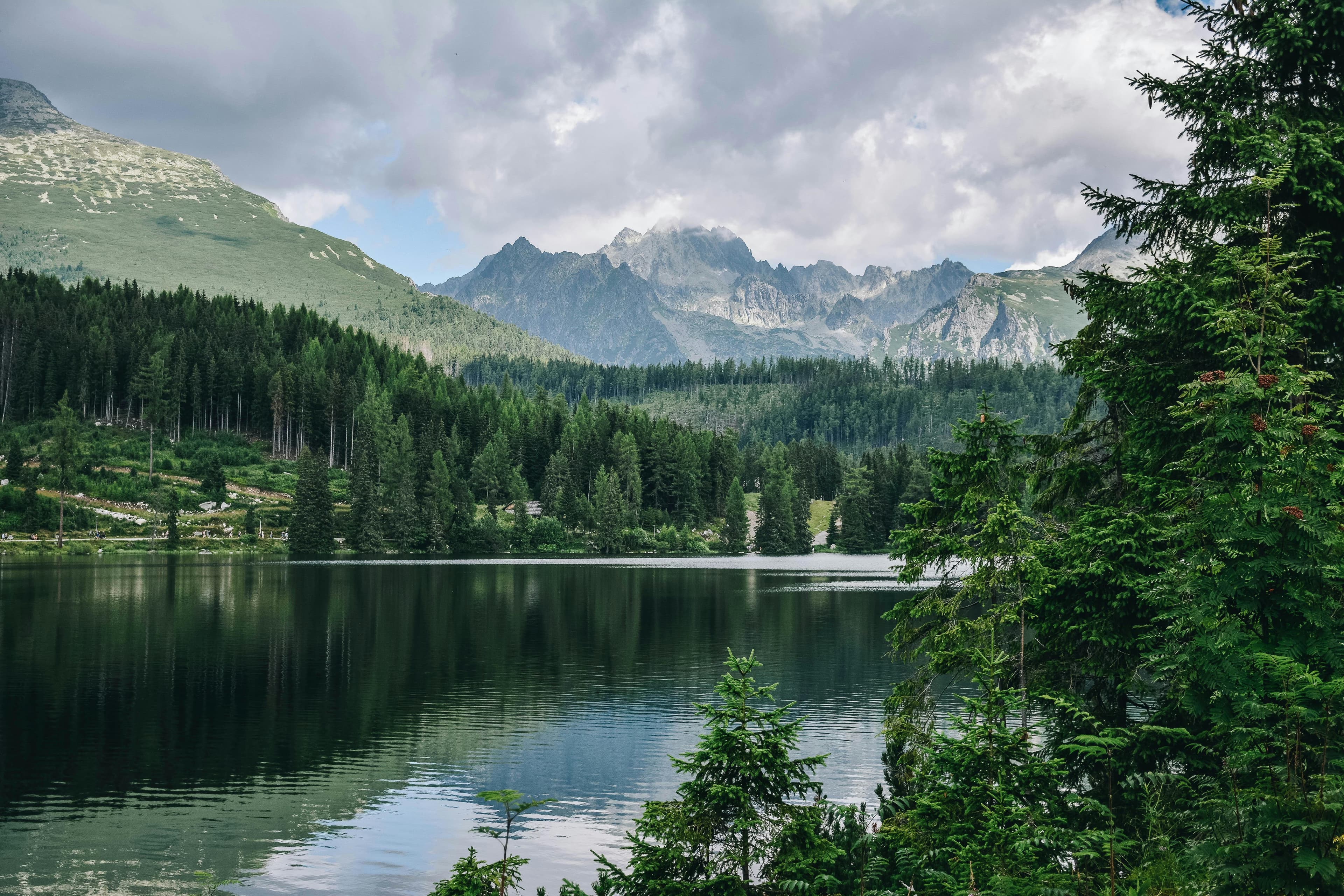 Nature background